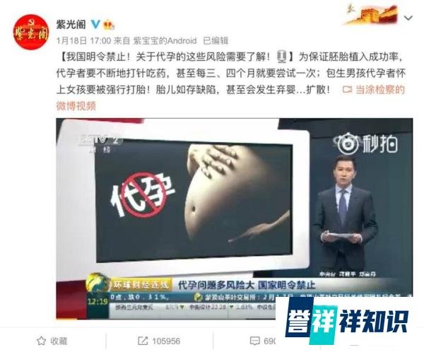 突破底线践踏人性,郑爽代孕的背后,是千万底层女性用命换钱