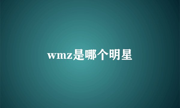 wmz是哪个明星