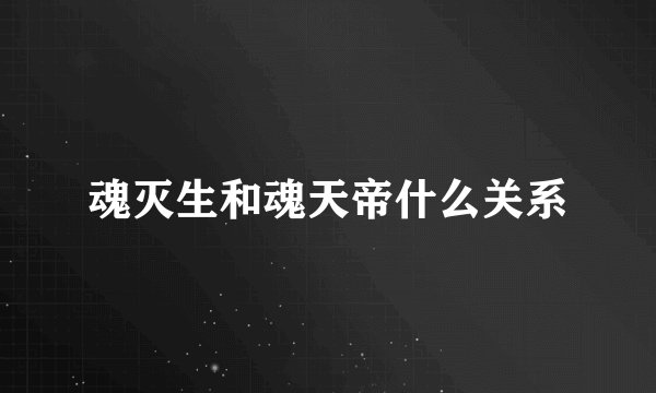 魂灭生和魂天帝什么关系