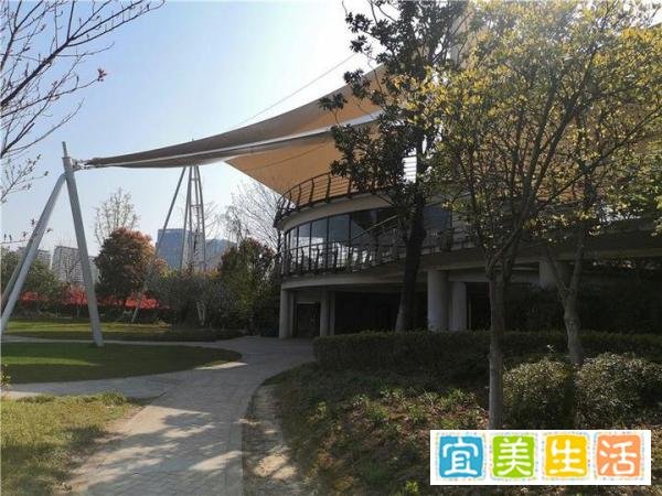 青草依依 这是春天的感觉