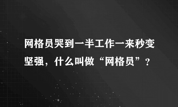 网格员哭到一半工作一来秒变坚强，什么叫做“网格员”？