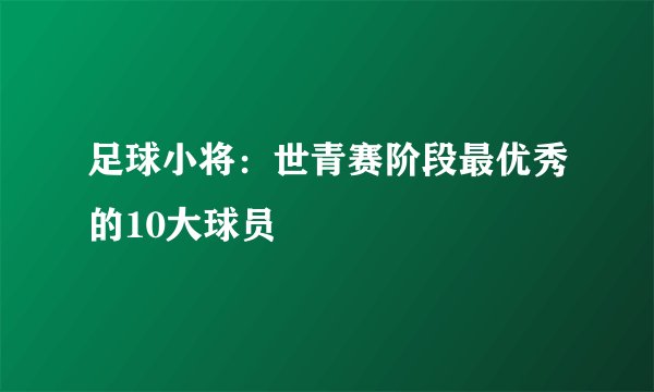 足球小将:世青赛阶段最优秀的10大球员