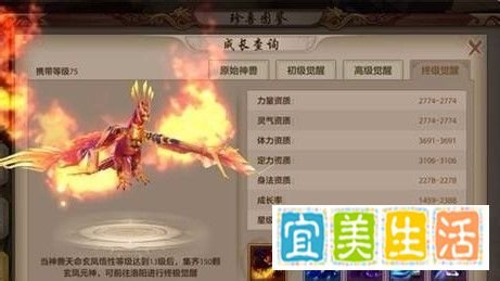 天龙八部攻略