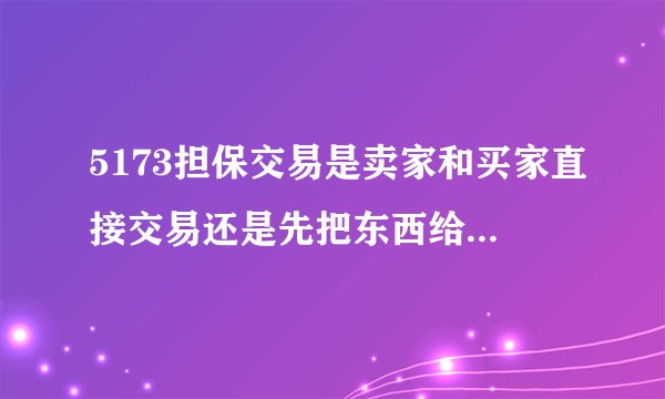 5173担保交易是卖家和买家直接交易还是先把东西给客服让客服和买家交易