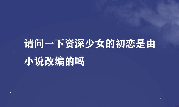 请问一下资深少女的初恋是由小说改编的吗