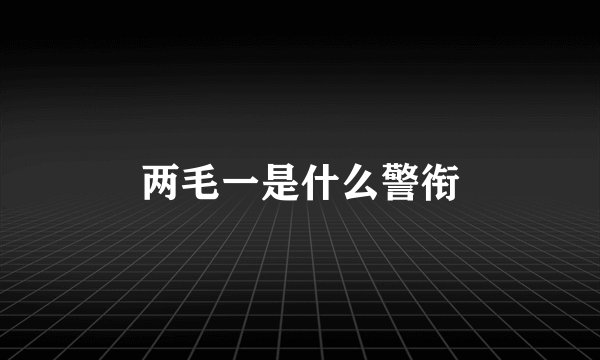 两毛一是什么警衔