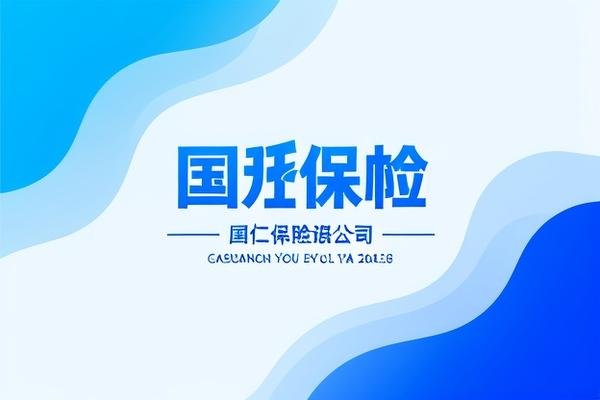 国仁保险公司怎么样