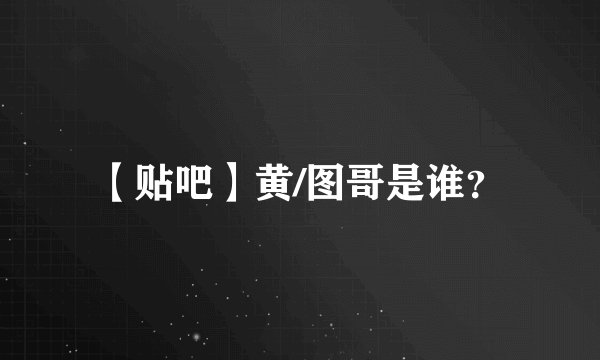 【贴吧】黄/图哥是谁？