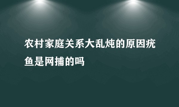 农村家庭关系大乱炖的原因疣鱼是网捕的吗