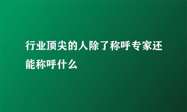 行业顶尖的人除了称呼专家还能称呼什么