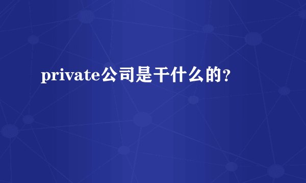 private公司是干什么的？