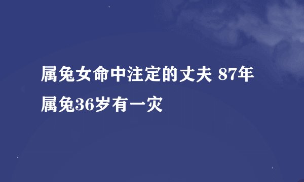 属兔女命中注定的丈夫 87年属兔36岁有一灾
