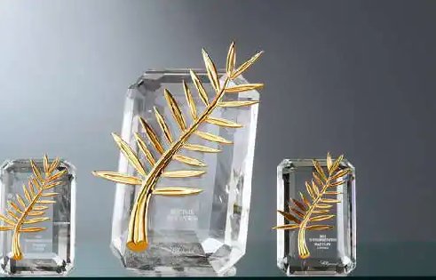 金棕榈奖与一种关注单元有什么区别？