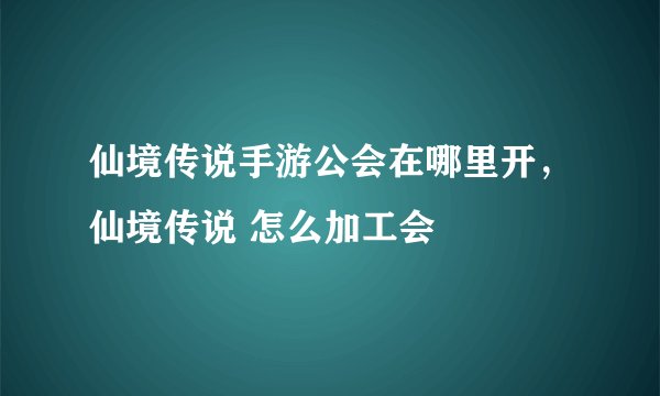 仙境传说手游公会在哪里开，仙境传说 怎么加工会