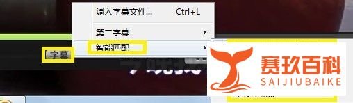 射手播放器怎样加载字幕