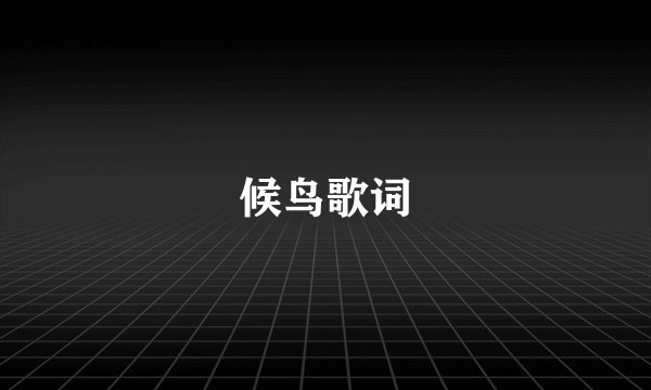 候鸟歌词
