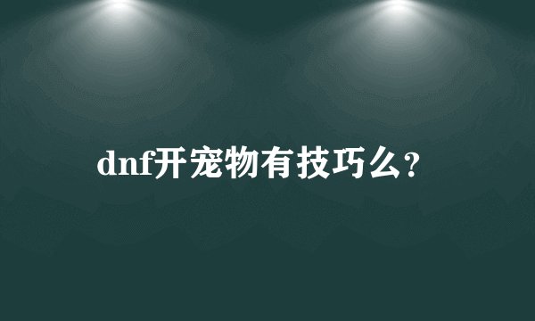 dnf开宠物有技巧么？