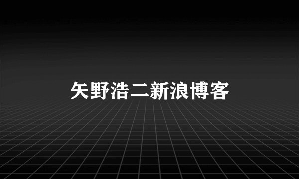 矢野浩二新浪博客