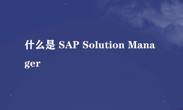 什么是 SAP Solution Manager
