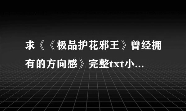 求《《极品护花邪王》曾经拥有的方向感》完整txt小说百度网盘下载链接