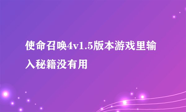 使命召唤4v1.5版本游戏里输入秘籍没有用