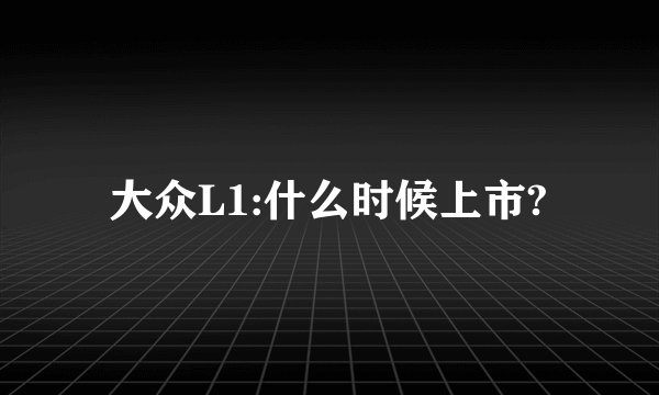大众L1:什么时候上市?