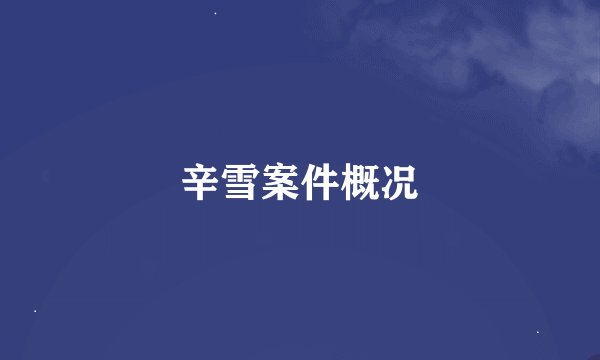 辛雪案件概况
