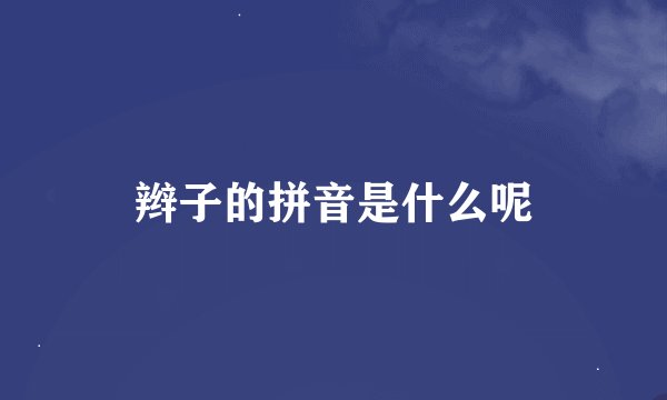 辫子的拼音是什么呢