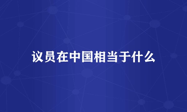 议员在中国相当于什么