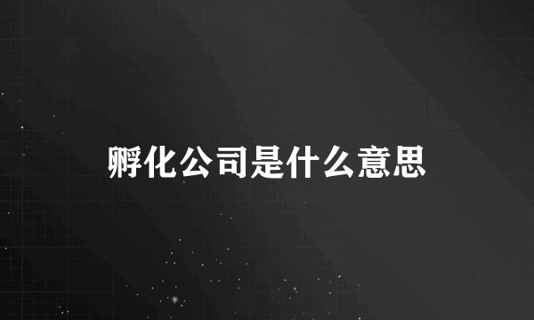 孵化公司是什么意思