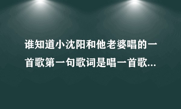 谁知道小沈阳和他老婆唱的一首歌第一句歌词是唱一首歌给我的老婆是什么歌