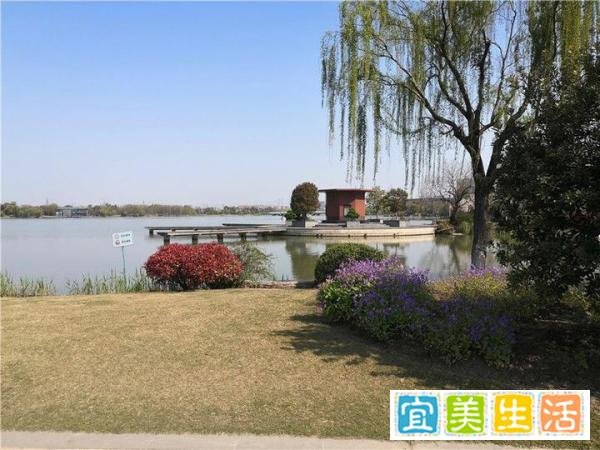 青草依依 这是春天的感觉
