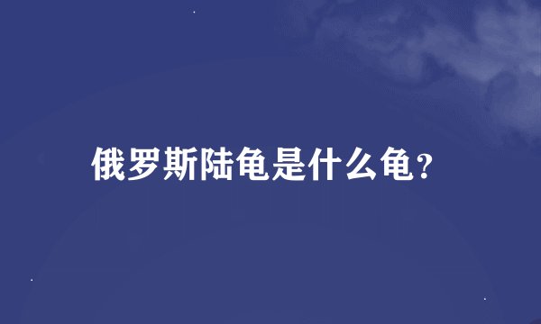 俄罗斯陆龟是什么龟？