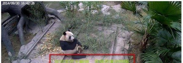 百度动物园直播怎么看/百度动物园如何发弹幕