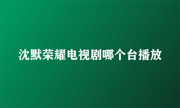沈默荣耀电视剧哪个台播放