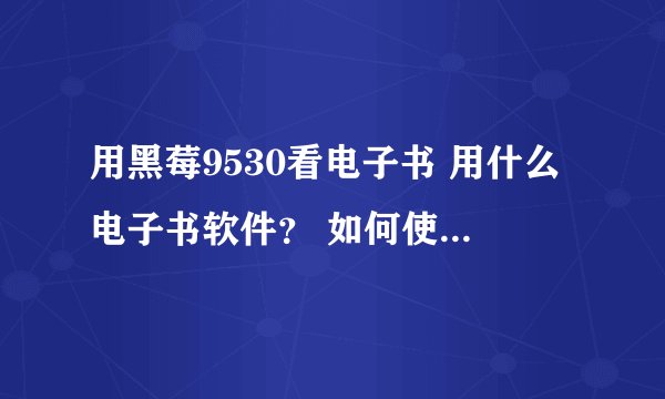 用黑莓9530看电子书 用什么电子书软件？ 如何使用？ 用什么格式的？