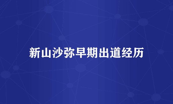 新山沙弥早期出道经历