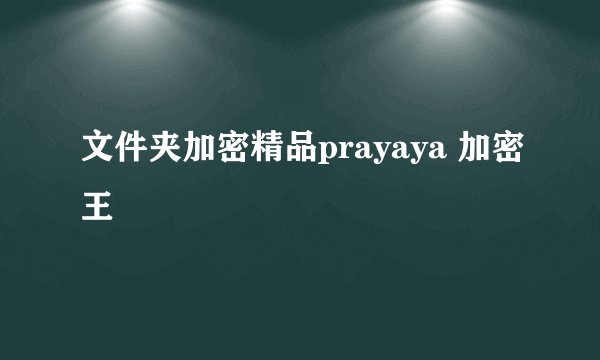 文件夹加密精品prayaya 加密王