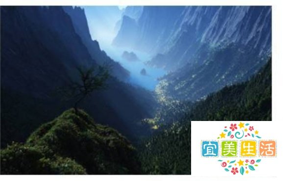 word里面的图片有时候显示不出来如何解决？