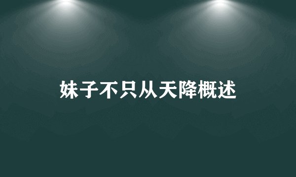 妹子不只从天降概述