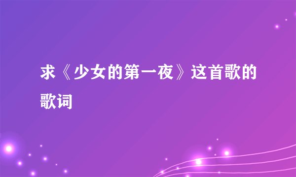 求《少女的第一夜》这首歌的歌词