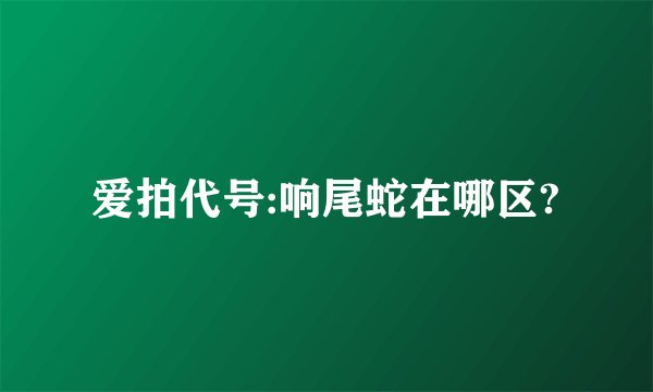 爱拍代号:响尾蛇在哪区?