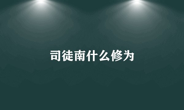 司徒南什么修为