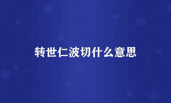 转世仁波切什么意思