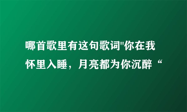 哪首歌里有这句歌词