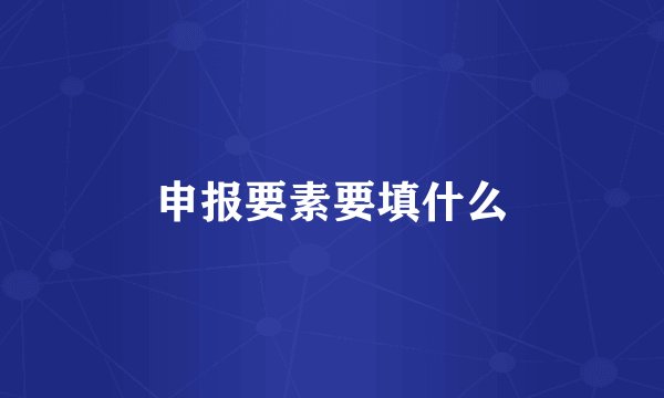 申报要素要填什么