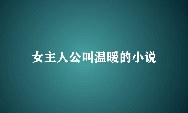 女主人公叫温暖的小说