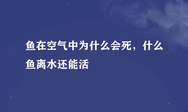 鱼在空气中为什么会死，什么鱼离水还能活
