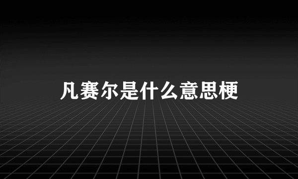 凡赛尔是什么意思梗