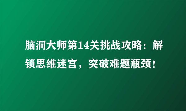 脑洞大师第14关挑战攻略：解锁思维迷宫，突破难题瓶颈！